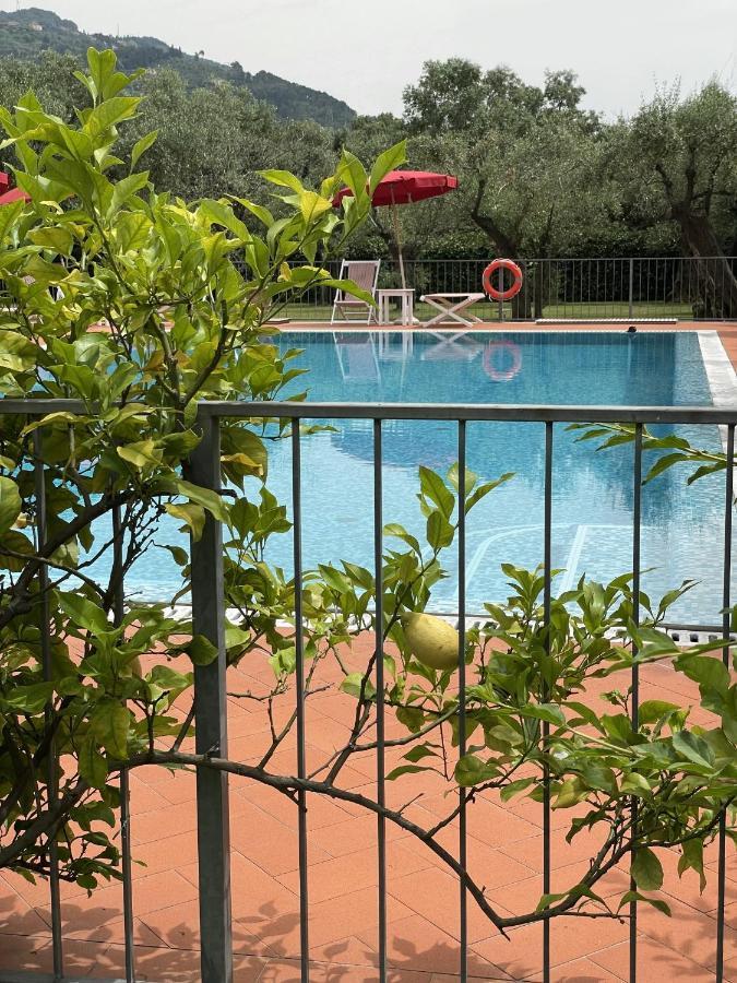 In Versilia เซราเวซซา ภายนอก รูปภาพ