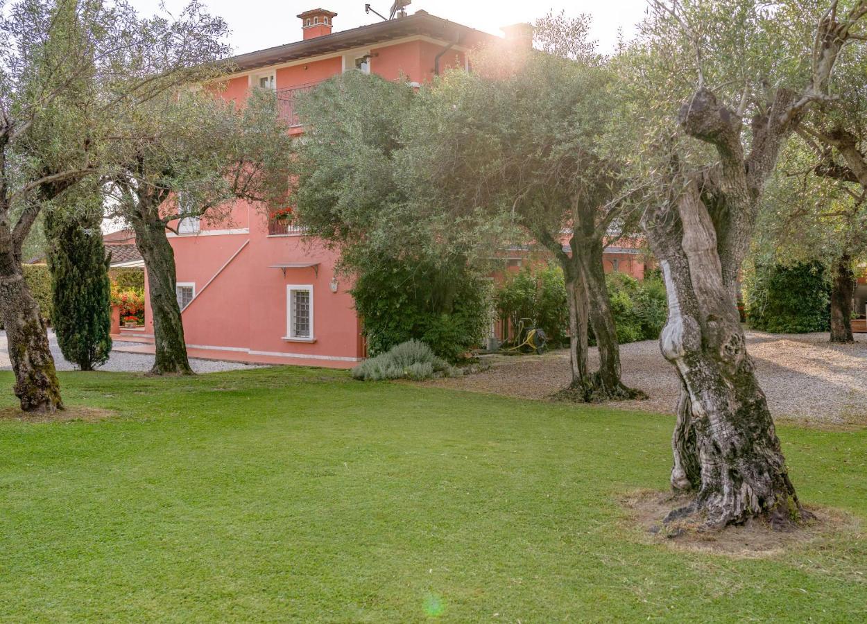 In Versilia เซราเวซซา ภายนอก รูปภาพ