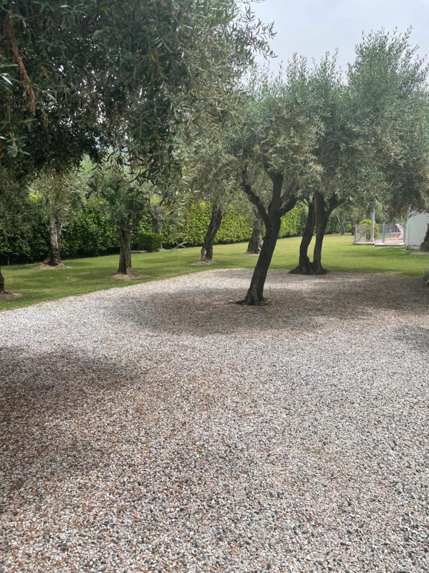 In Versilia เซราเวซซา ภายนอก รูปภาพ